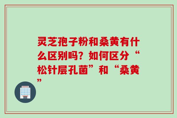 灵芝孢子粉和桑黄有什么区别吗？如何区分“松针层孔菌”和“桑黄”