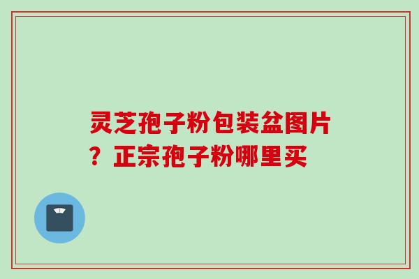 灵芝孢子粉包装盆图片？正宗孢子粉哪里买