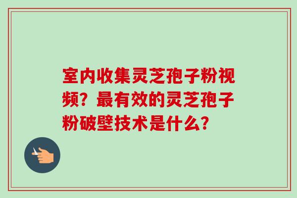 室内收集灵芝孢子粉视频?最有效的灵芝孢子粉破壁技术是什么?