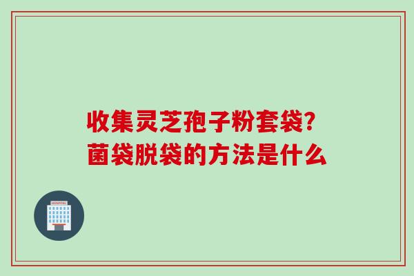 收集灵芝孢子粉套袋?菌袋脱袋的方法是什么