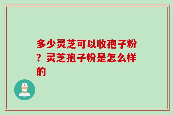 多少灵芝可以收孢子粉？灵芝孢子粉是怎么样的
