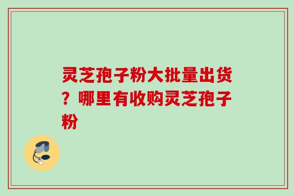 灵芝孢子粉大批量出货？哪里有收购灵芝孢子粉