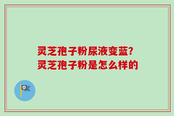 灵芝孢子粉尿液变蓝？灵芝孢子粉是怎么样的