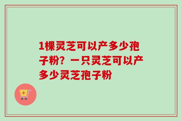1棵灵芝可以产多少孢子粉？一只灵芝可以产多少灵芝孢子粉