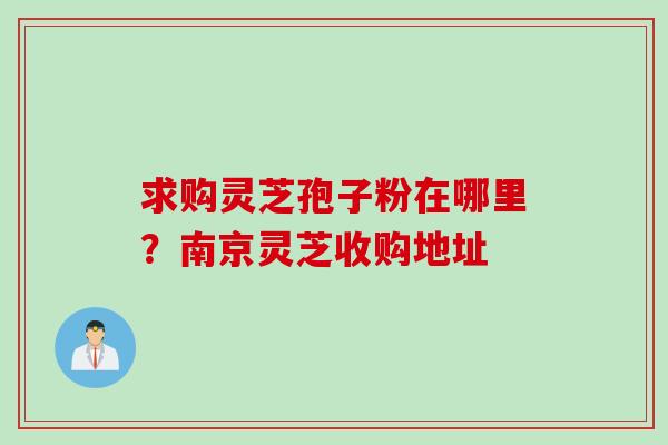 求购灵芝孢子粉在哪里？南京灵芝收购地址