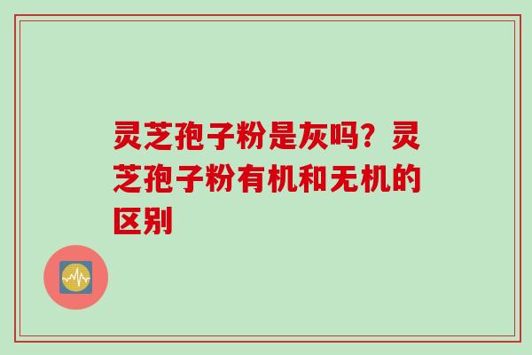 灵芝孢子粉是灰吗?灵芝孢子粉有机和无机的区别 灵芝孢子粉是灰吗?灵芝孢子粉有机和无机的区别