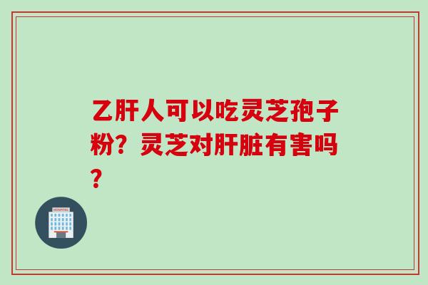 乙肝人可以吃灵芝孢子粉？灵芝对肝脏有害吗？