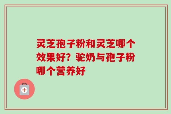 灵芝孢子粉和灵芝哪个效果好？驼奶与孢子粉哪个营养好