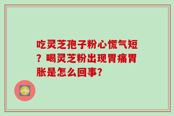 吃灵芝孢子粉心慌气短？喝灵芝粉出现胃痛胃胀是怎么回事？