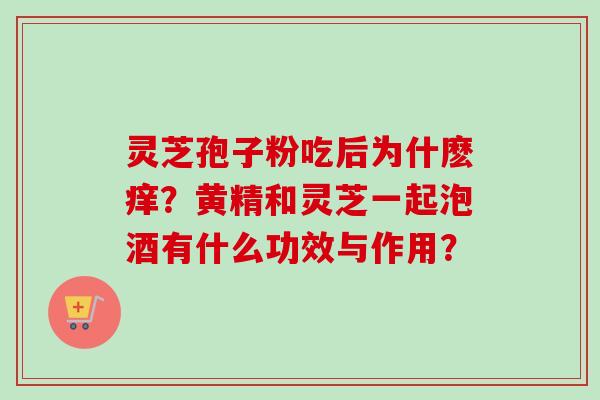 灵芝孢子粉吃后为什麽痒?黄精和灵芝一起泡酒有什么功效与作用?