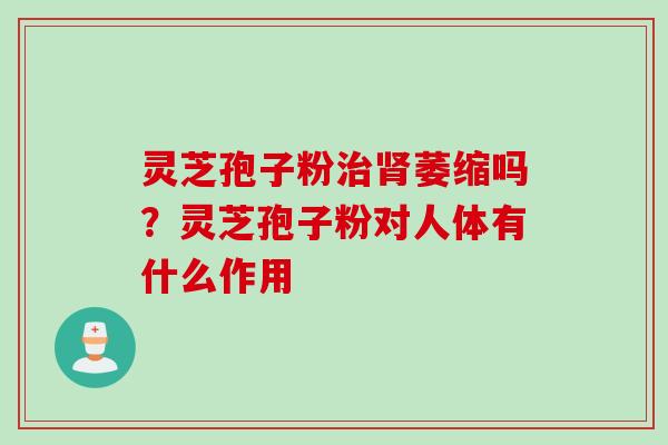 灵芝孢子粉治肾萎缩吗？灵芝孢子粉对人体有什么作用