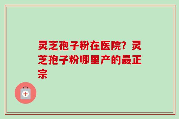 灵芝孢子粉在医院？灵芝孢子粉哪里产的最正宗