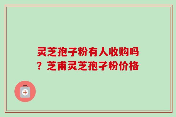 灵芝孢子粉有人收购吗?芝甫灵芝孢孑粉价格