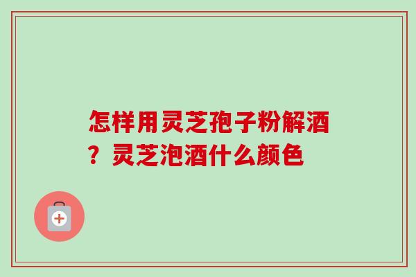 怎样用灵芝孢子粉解酒？灵芝泡酒什么颜色