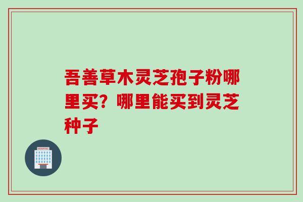 吾善草木灵芝孢子粉哪里买？哪里能买到灵芝种子