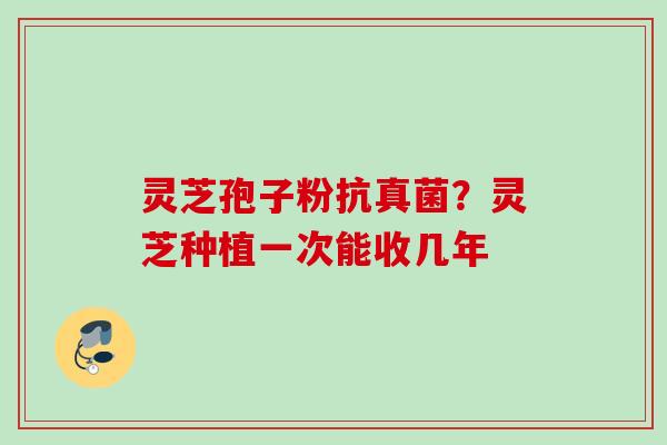 灵芝孢子粉抗真菌?灵芝种植一次能收几年