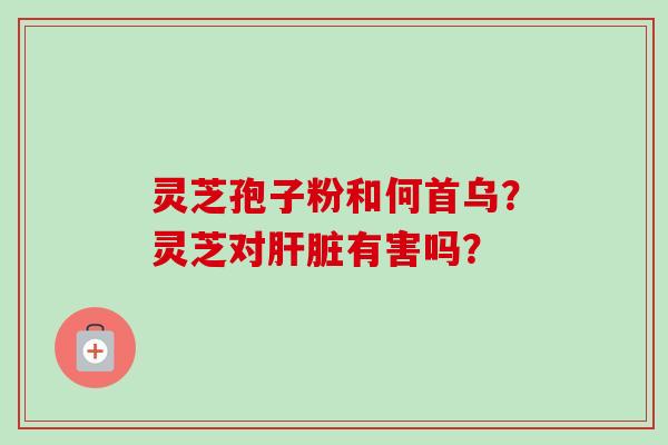 灵芝孢子粉和何首乌？灵芝对肝脏有害吗？