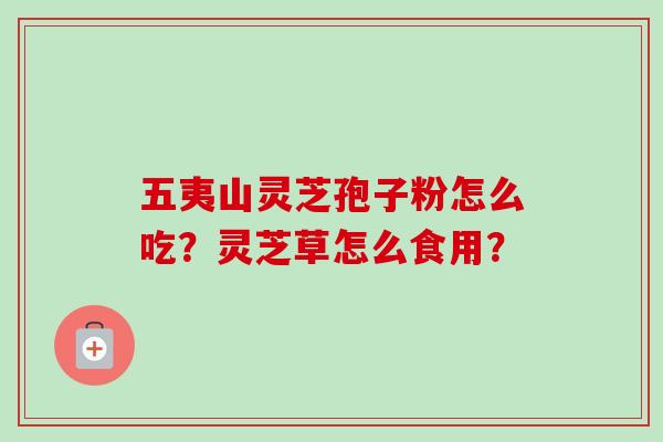 五夷山灵芝孢子粉怎么吃?灵芝草怎么食用? 五夷山灵芝孢子粉怎么吃?灵芝草怎么食用?