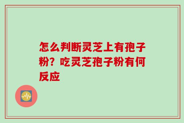 怎么判断灵芝上有孢子粉？吃灵芝孢子粉有何反应