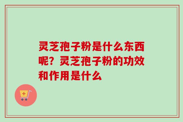 灵芝孢子粉是什么东西呢？灵芝孢子粉的功效和作用是什么