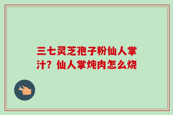 三七灵芝孢子粉仙人掌汁？仙人掌炖肉怎么烧