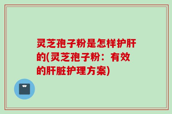 灵芝孢子粉是怎样护肝的(灵芝孢子粉：有效的肝脏护理方案)