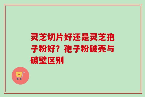灵芝切片好还是灵芝孢子粉好？孢子粉破壳与破壁区别