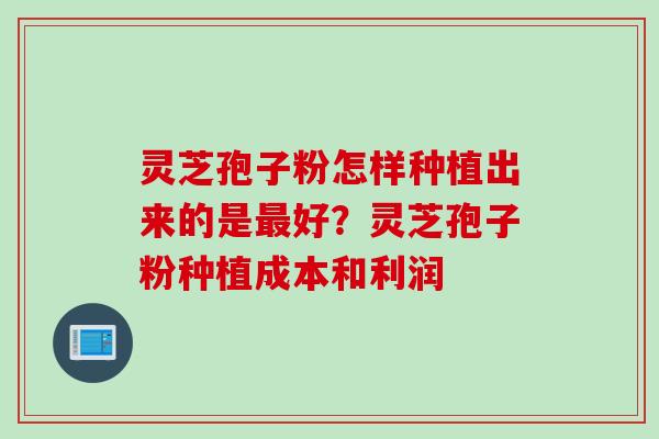 灵芝孢子粉怎样种植出来的是最好?灵芝孢子粉种植成本和利润