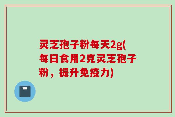 灵芝孢子粉每天2g(每日食用2克灵芝孢子粉,提升免疫力)