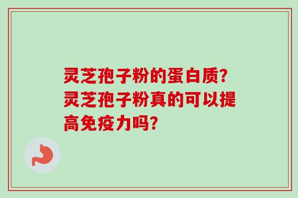 灵芝孢子粉的蛋白质？灵芝孢子粉真的可以提高免疫力吗？