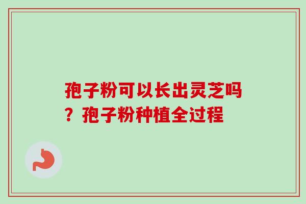 孢子粉可以长出灵芝吗？孢子粉种植全过程