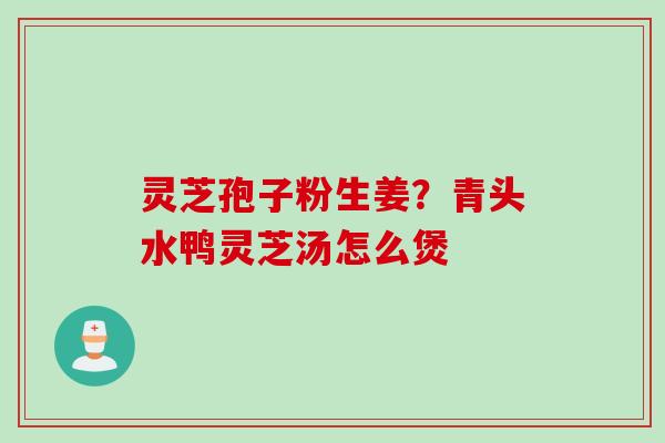 灵芝孢子粉生姜？青头水鸭灵芝汤怎么煲