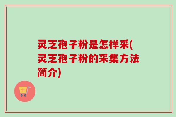 灵芝孢子粉是怎样采(灵芝孢子粉的采集方法简介)