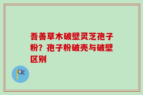 吾善草木破壁灵芝孢子粉？孢子粉破壳与破壁区别