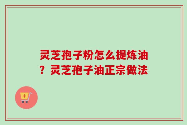 灵芝孢子粉怎么提炼油?灵芝孢子油正宗做法