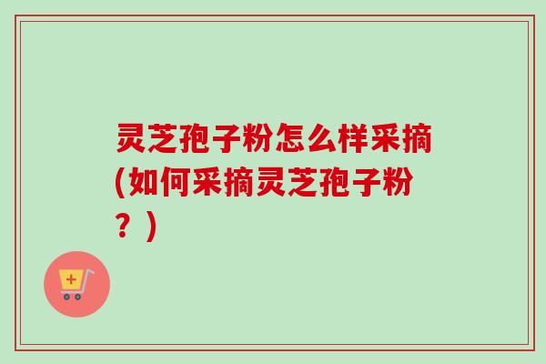 灵芝孢子粉怎么样采摘(如何采摘灵芝孢子粉？)