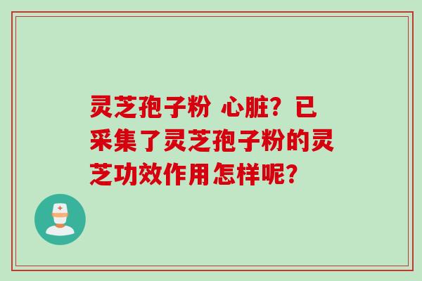 灵芝孢子粉 心脏？已采集了灵芝孢子粉的灵芝功效作用怎样呢？