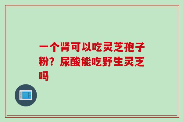 一个肾可以吃灵芝孢子粉？尿酸能吃野生灵芝吗