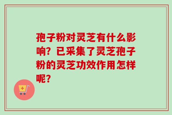 孢子粉对灵芝有什么影响？已采集了灵芝孢子粉的灵芝功效作用怎样呢？