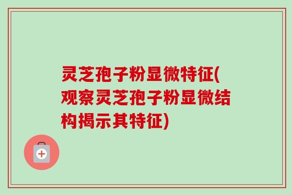 灵芝孢子粉显微特征(观察灵芝孢子粉显微结构揭示其特征)