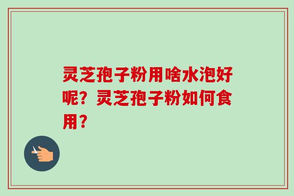 灵芝孢子粉用啥水泡好呢?灵芝孢子粉如何食用?