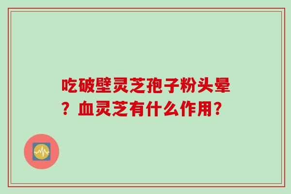 吃破壁灵芝孢子粉头晕?血灵芝有什么作用?