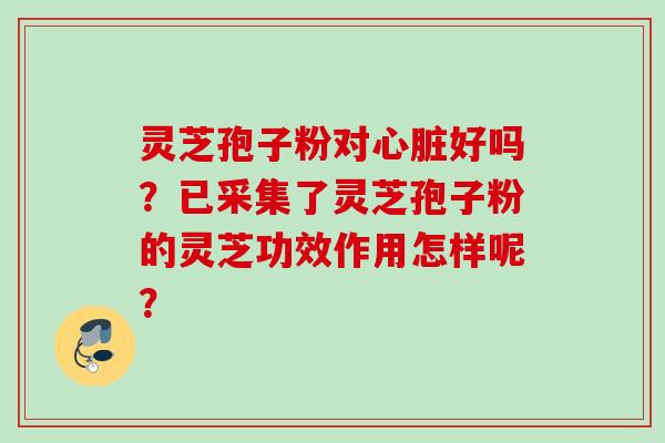 灵芝孢子粉对心脏好吗？已采集了灵芝孢子粉的灵芝功效作用怎样呢？