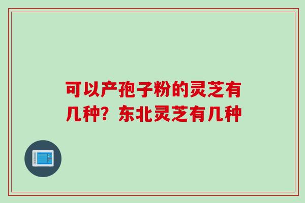 可以产孢子粉的灵芝有几种？东北灵芝有几种