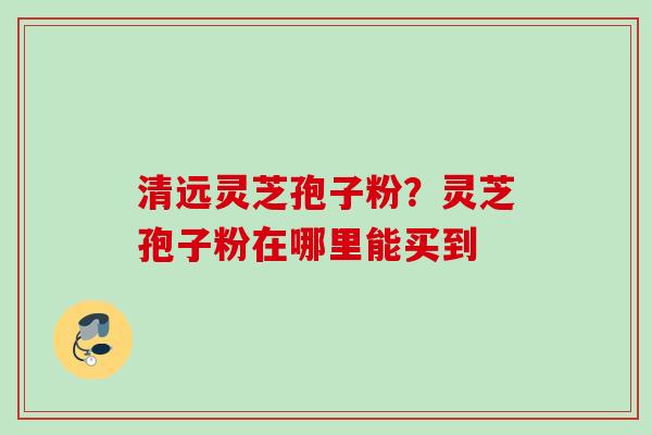 清远灵芝孢子粉？灵芝孢子粉在哪里能买到