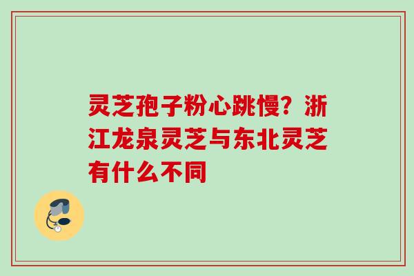 灵芝孢子粉心跳慢?浙江龙泉灵芝与东北灵芝有什么不同