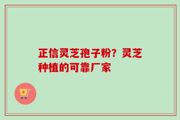 正信灵芝孢子粉？灵芝种植的可靠厂家