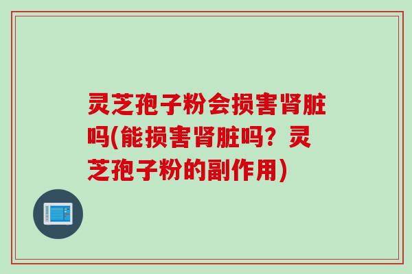 灵芝孢子粉会损害肾脏吗(能损害肾脏吗？灵芝孢子粉的副作用)