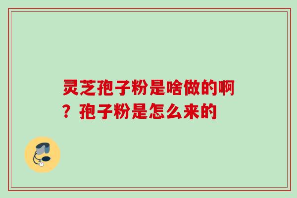灵芝孢子粉是啥做的啊?孢子粉是怎么来的