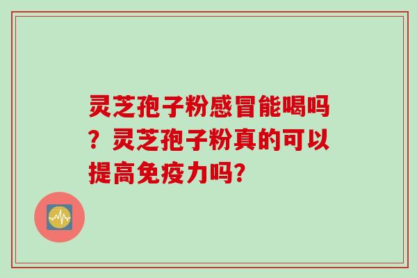 灵芝孢子粉感冒能喝吗？灵芝孢子粉真的可以提高免疫力吗？